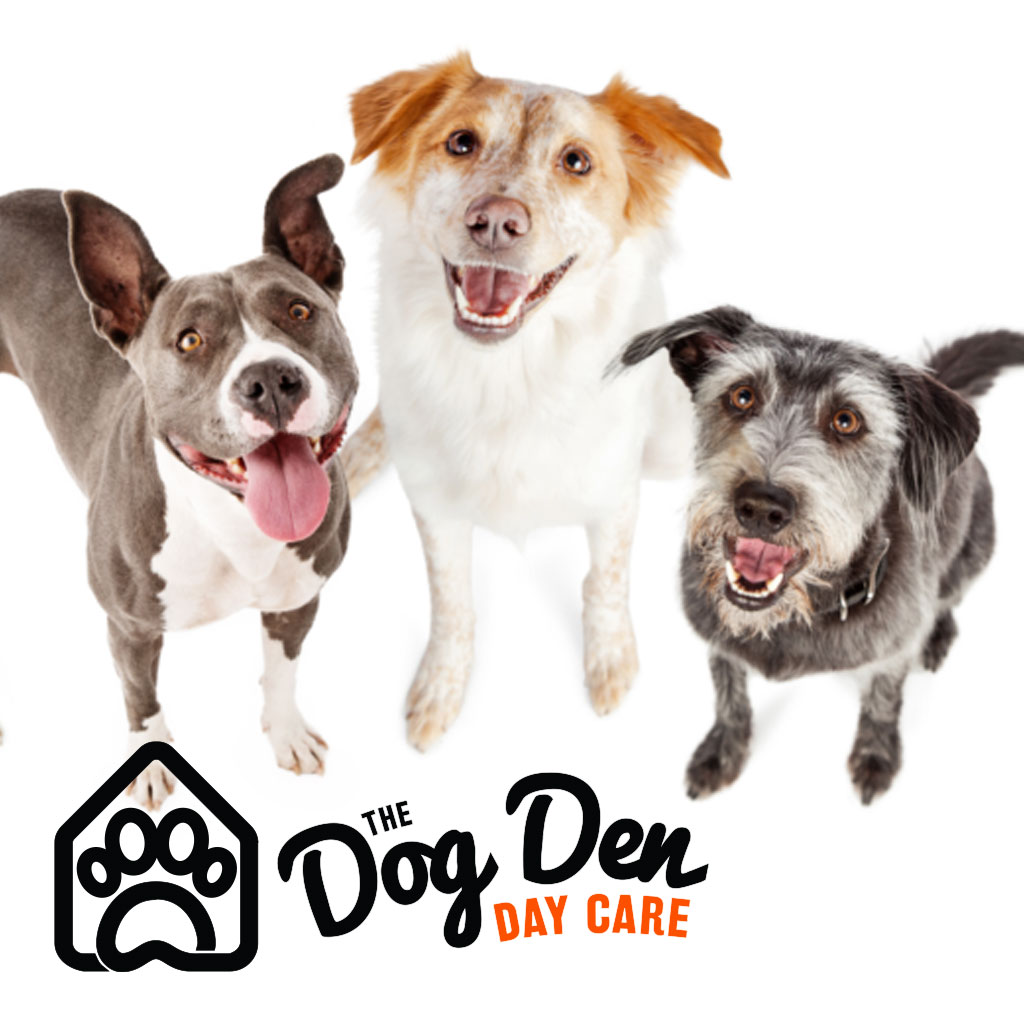 Doggie shop den daycare