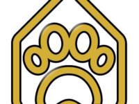 VIP GOLD PASS - 5 Full Days ($45, 4-5 days per week)