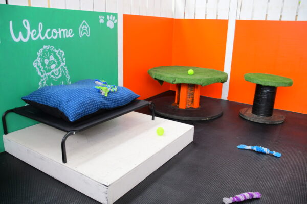https://www.thedogden.co.nz/wp-content/uploads/2020/08/DSC_1567_inside-600x400.jpg