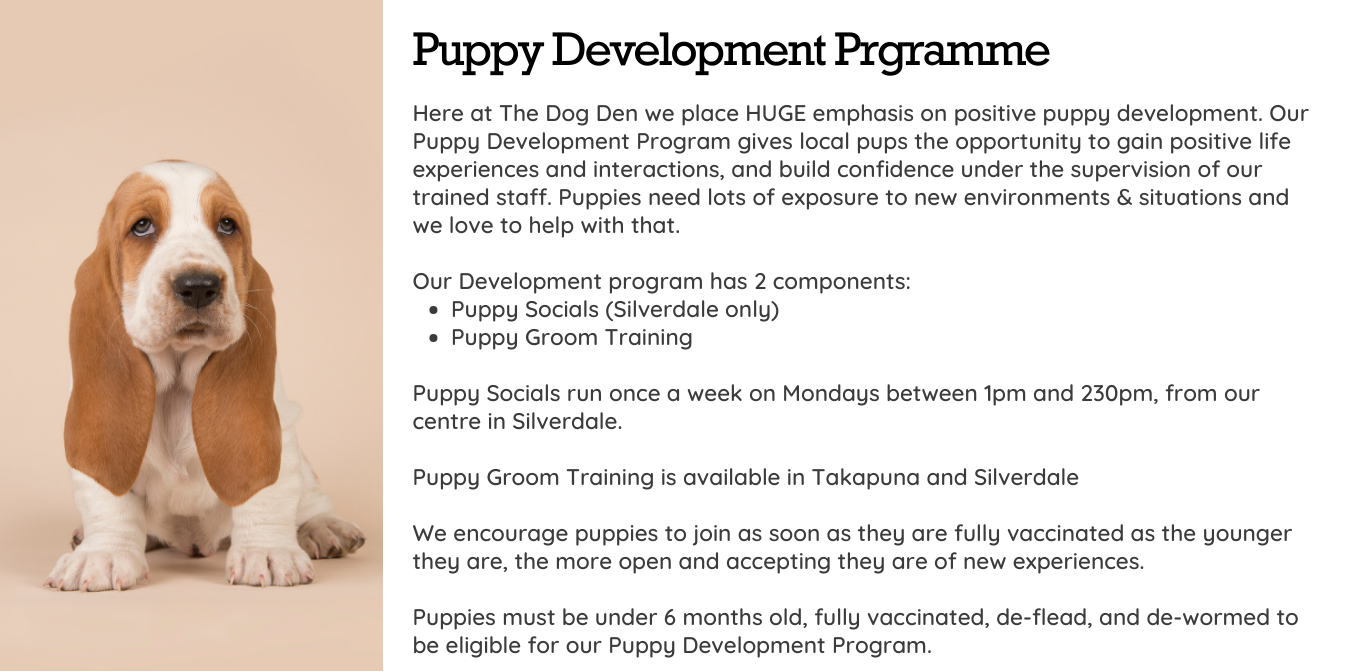 https://www.thedogden.co.nz/wp-content/uploads/2024/04/puppy-development-1366x672.png