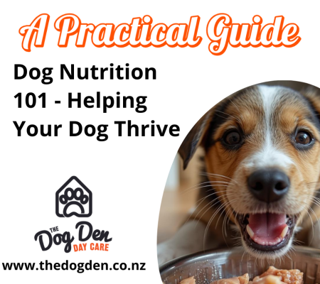 https://www.thedogden.co.nz/wp-content/uploads/2026/02/dog-nutrition-450x400.png